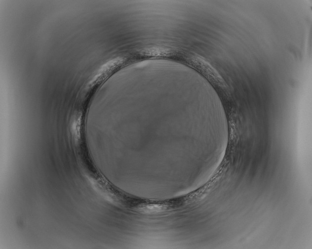 X0000112930163200909211120