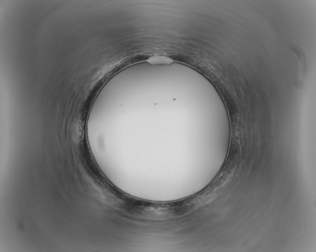 X0000112930164200909211120