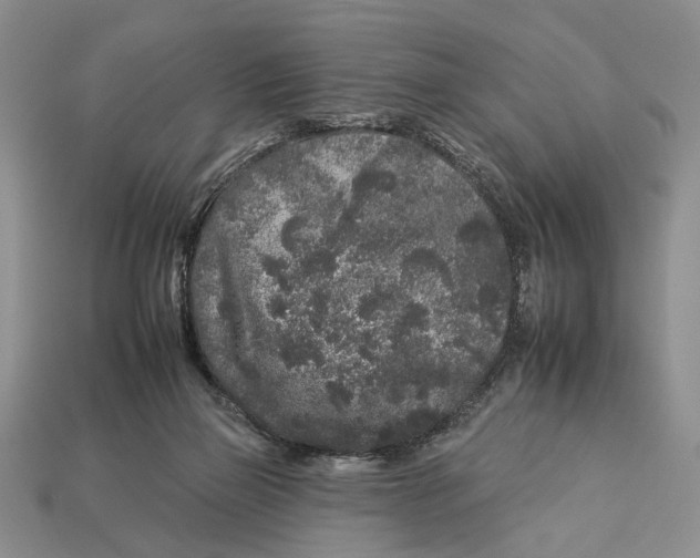 X0000112930165200909211120