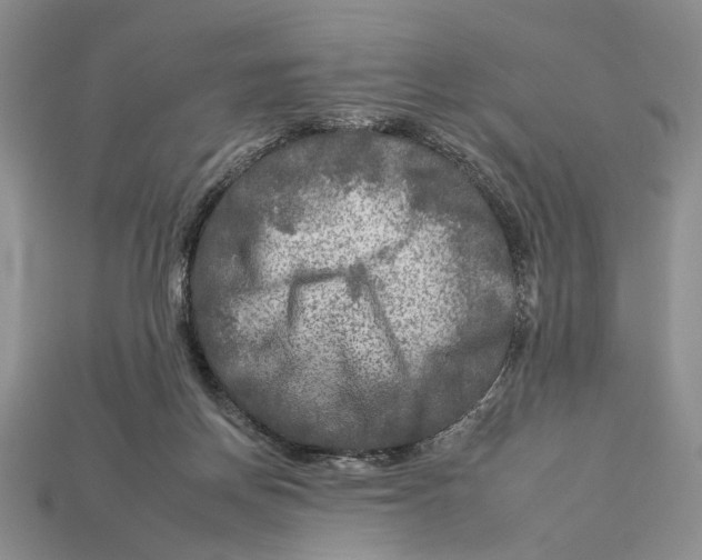 X0000112930166200909211120