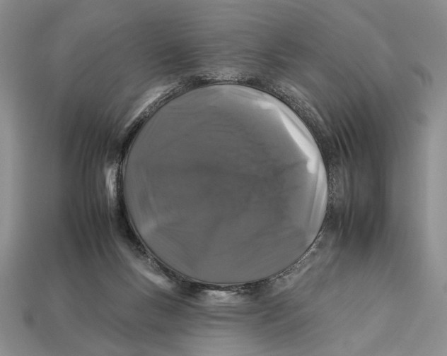 X0000112930167200909211120