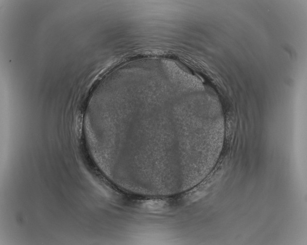 X0000112930168200909211120