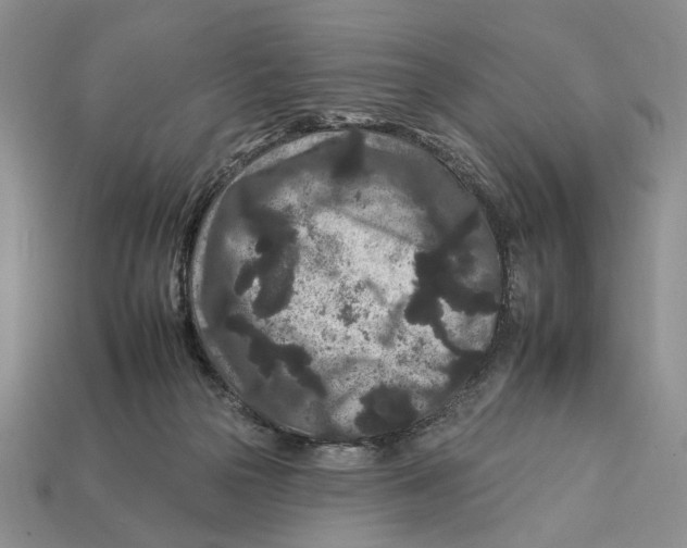 X0000112930169200909211121