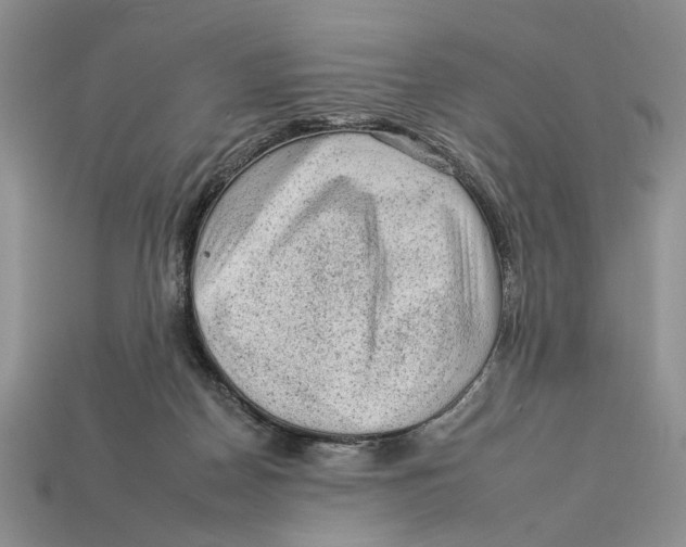 X0000112930170200909211121