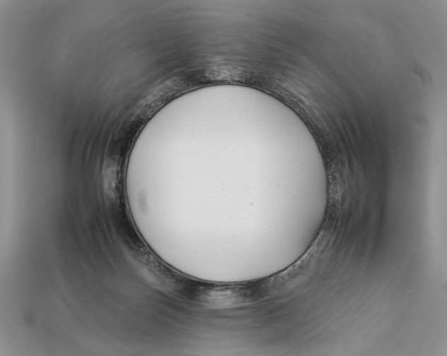 X0000112930171200909211121