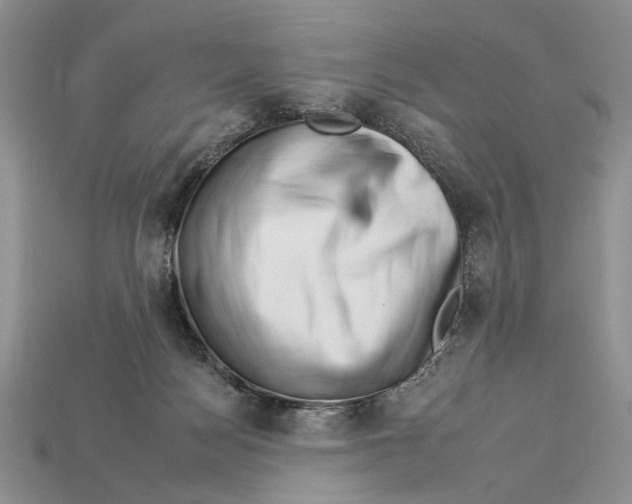 X0000112930172200909211121