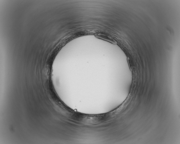 X0000112930174200909211121