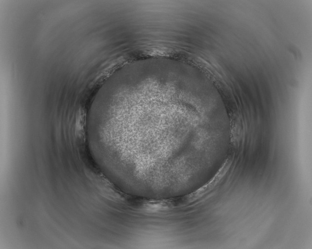 X0000112930175200909211121