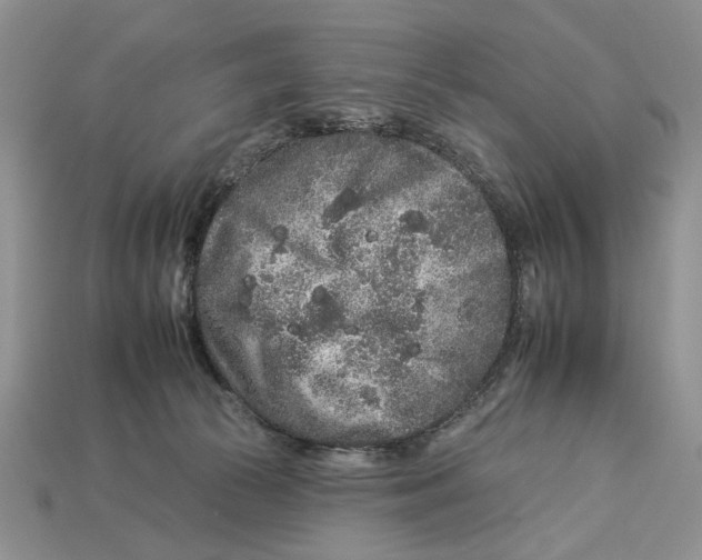 X0000112930177200909211121
