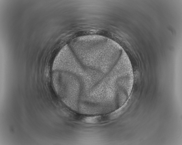 X0000112930178200909211121