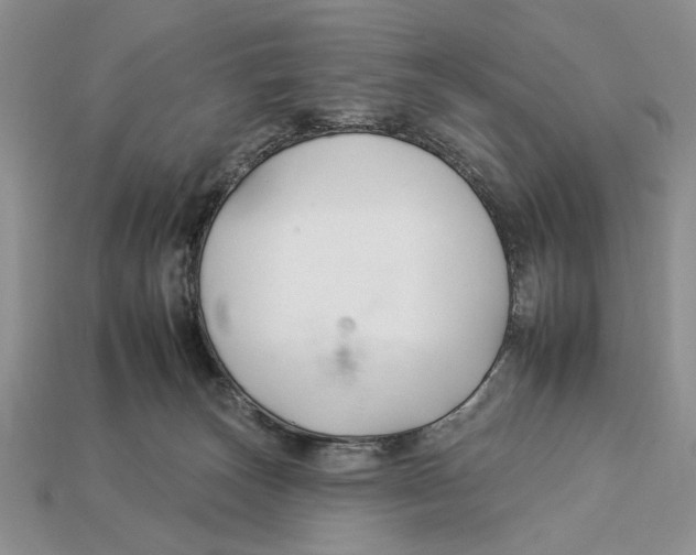 X0000112930179200909211121