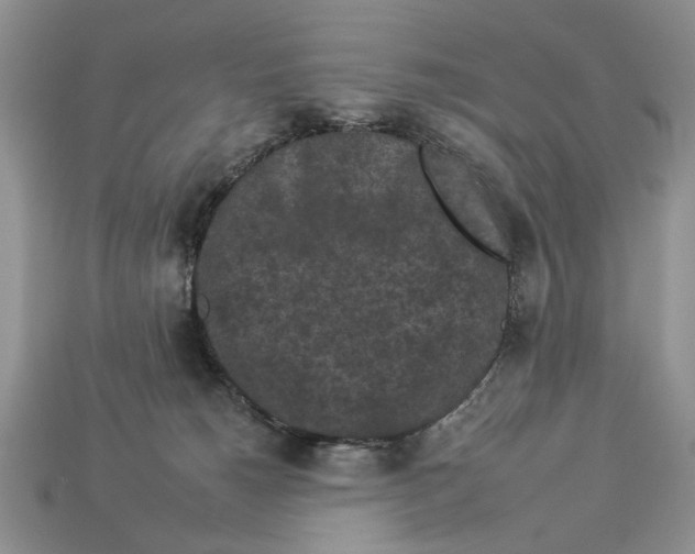 X0000112930180200909211121