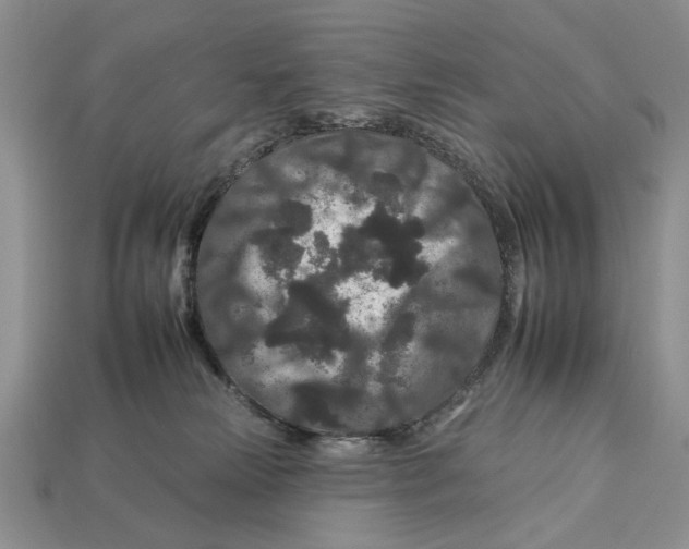 X0000112930181200909211121