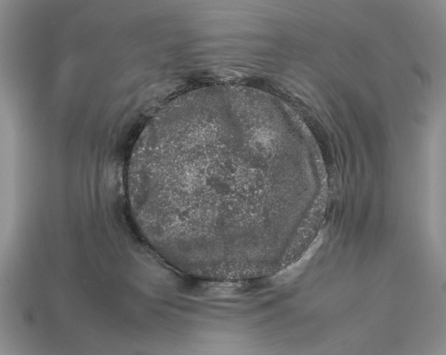X0000112930182200909211121