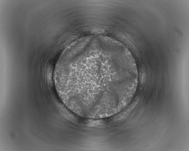X0000112930185200909211121