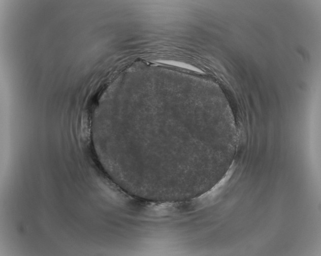 X0000112930186200909211121