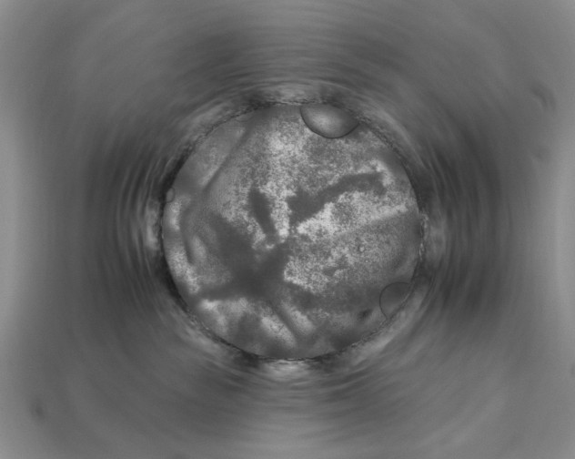 X0000112930189200909211121