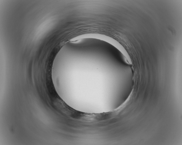 X0000112930190200909211121