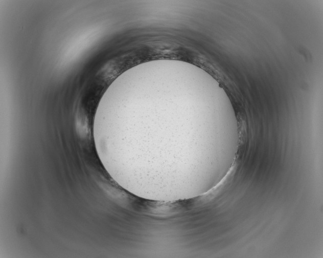X0000112930191200909211121