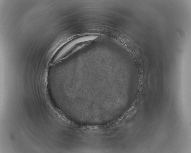 X0000112930194200909211120