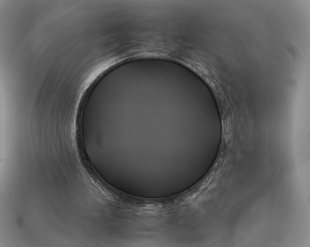 X0000112930196200909211120