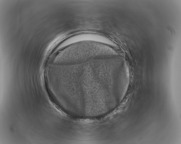 X0000112930197200909211120
