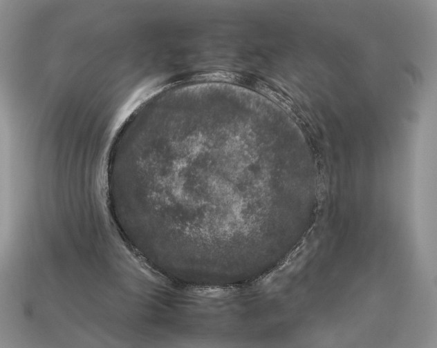 X0000112930198200909211120
