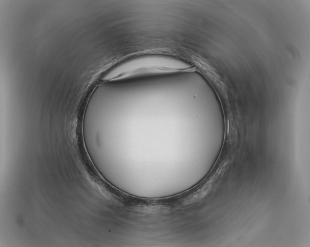 X0000112930201200909211120