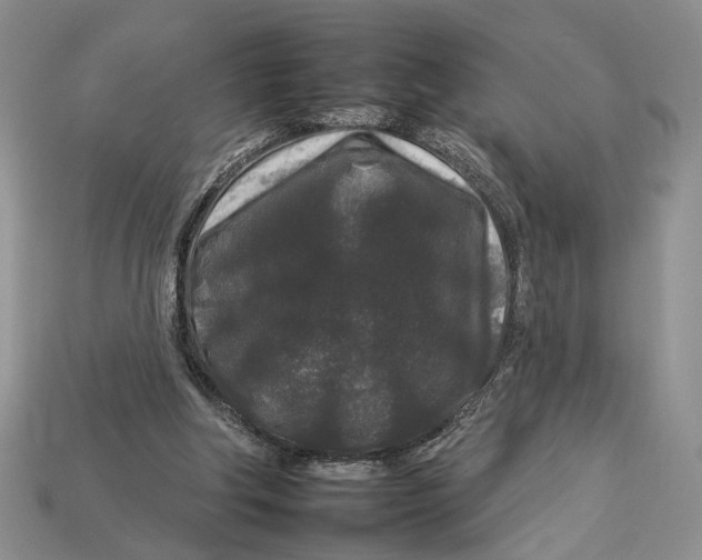 X0000112930202200909211120