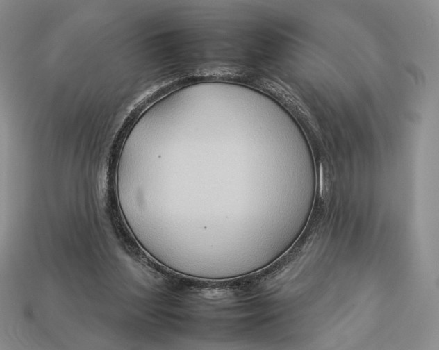 X0000112930204200909211120