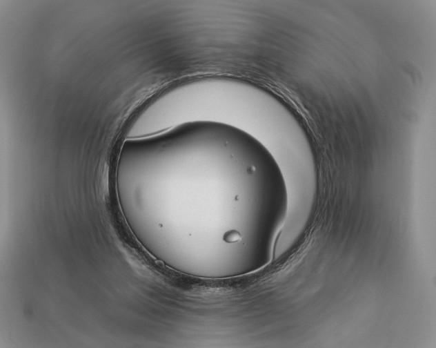 X0000112930205200909211120