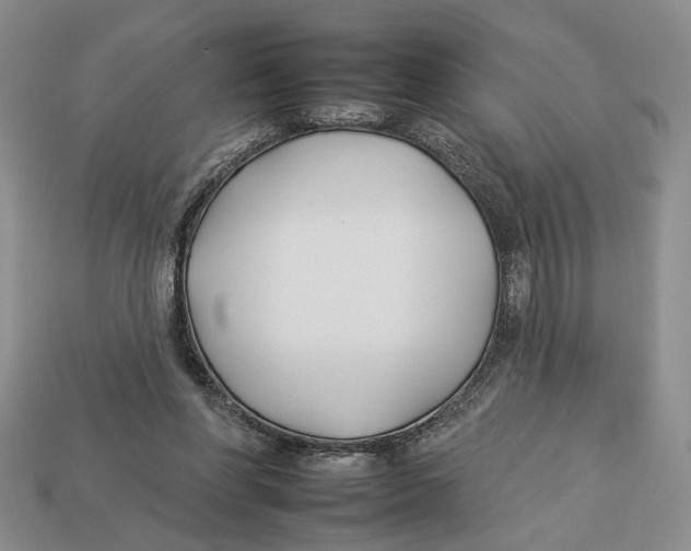 X0000112930206200909211120