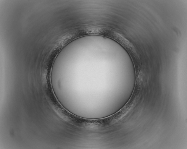 X0000112930209200909211120