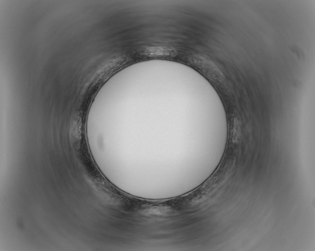 X0000112930210200909211120