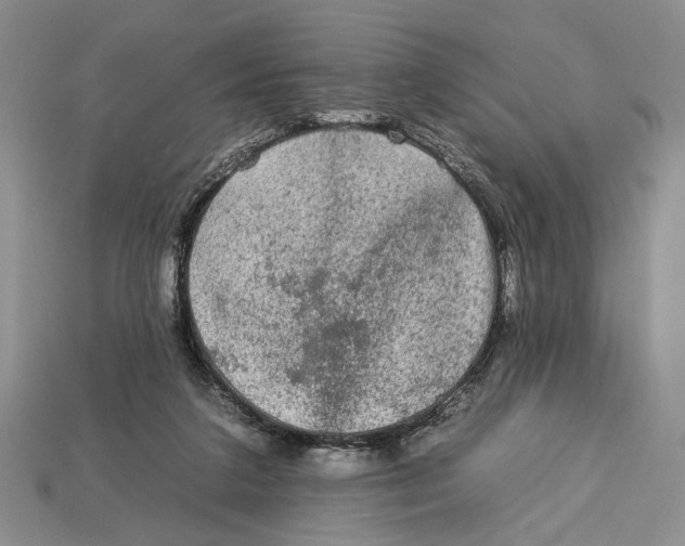 X0000112930211200909211120