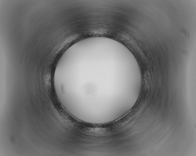 X0000112930212200909211120
