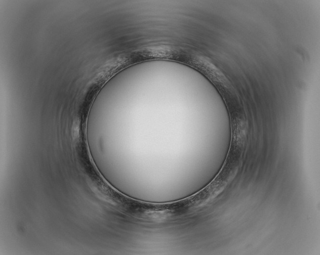 X0000112930213200909211120