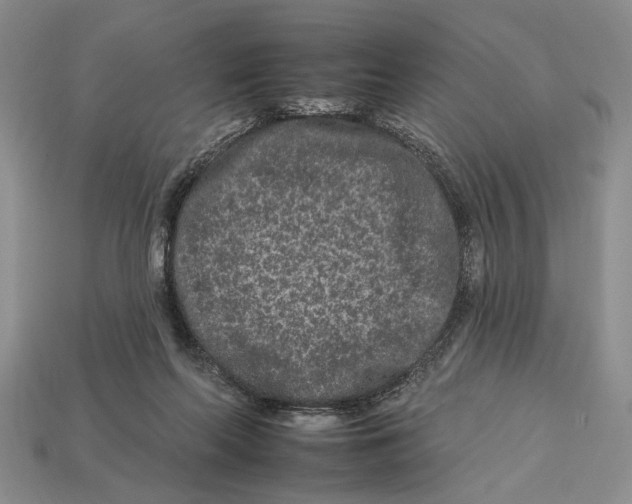 X0000112930214200909211120