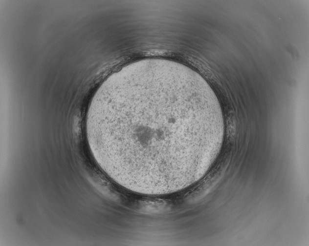 X0000112930215200909211120