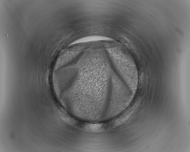 X0000112930217200909211120