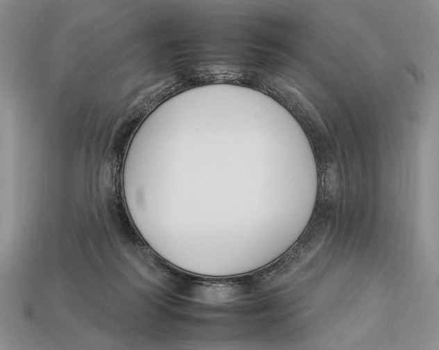 X0000112930218200909211120
