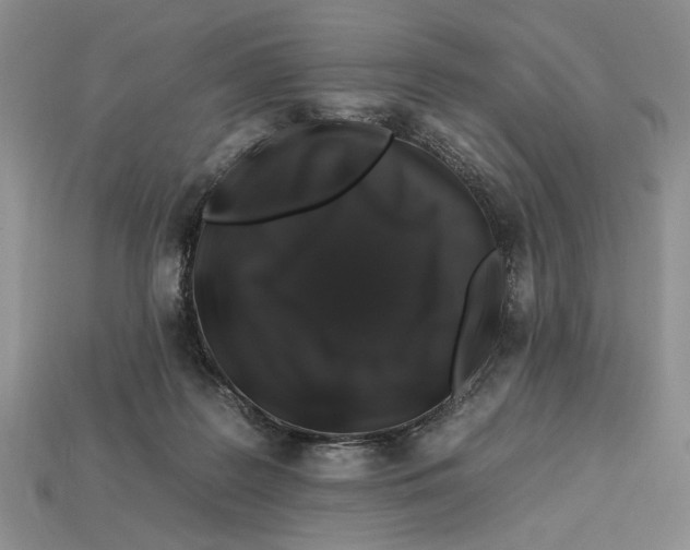 X0000112930219200909211120