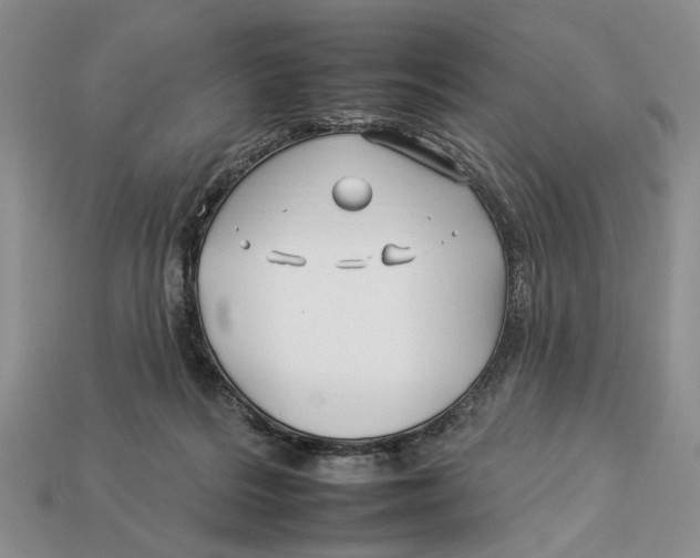 X0000112930220200909211120