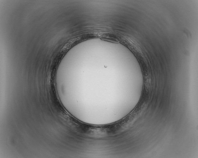 X0000112930221200909211120