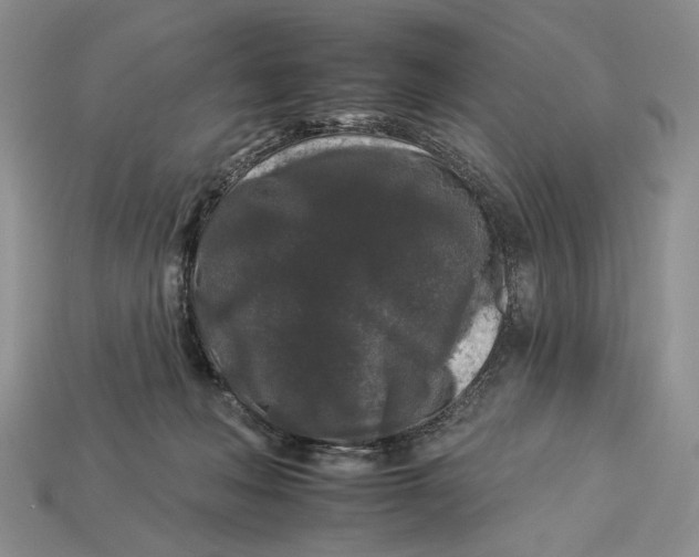 X0000112930222200909211120