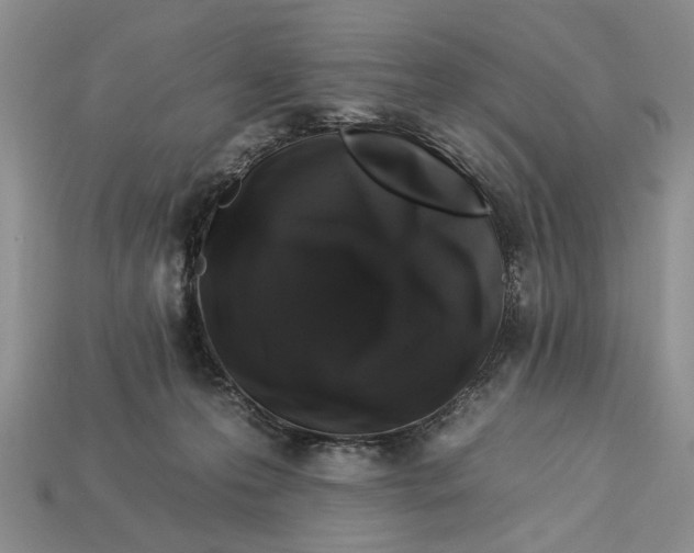 X0000112930223200909211120