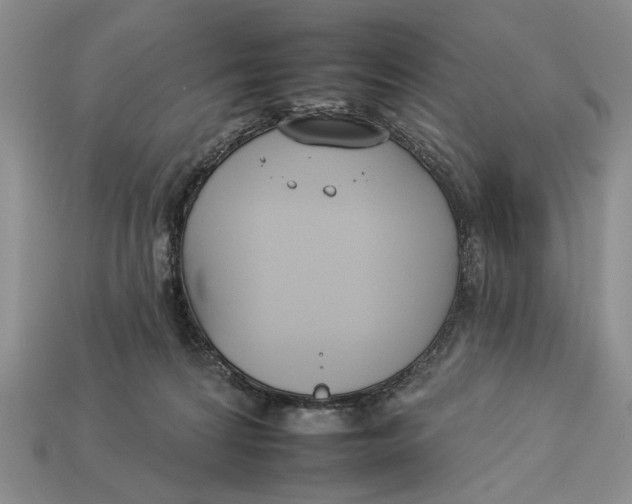 X0000112930224200909211120