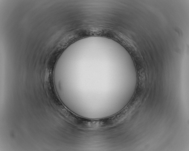 X0000112930225200909211120
