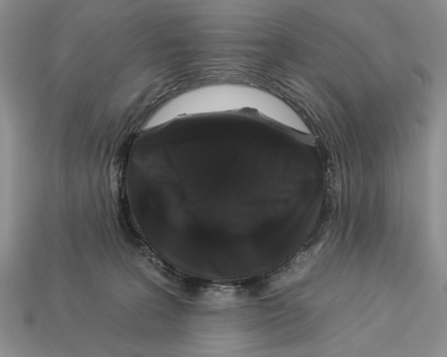 X0000112930227200909211120