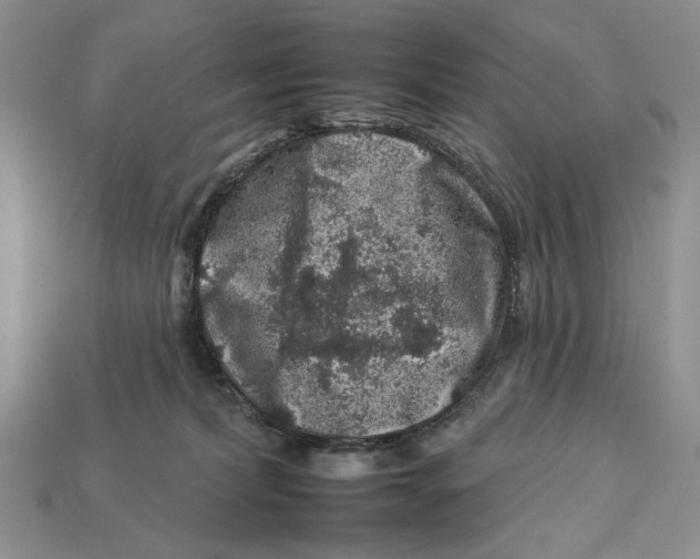 X0000112930228200909211120
